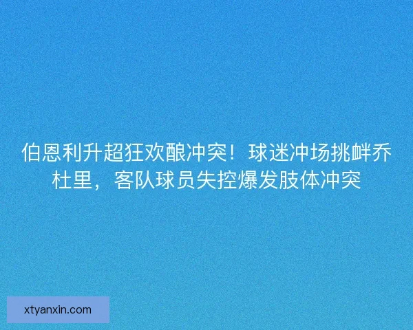 伯恩利升超狂欢酿冲突！球迷冲场挑衅乔杜里，客队球员失控爆发肢体冲突